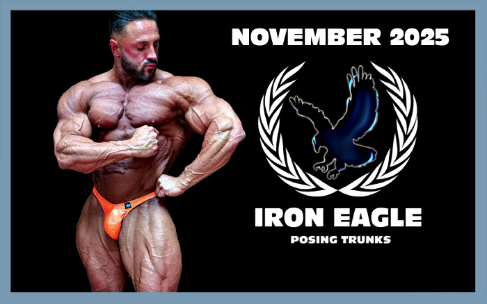 NEWSLETTER NOVEMBER 2025