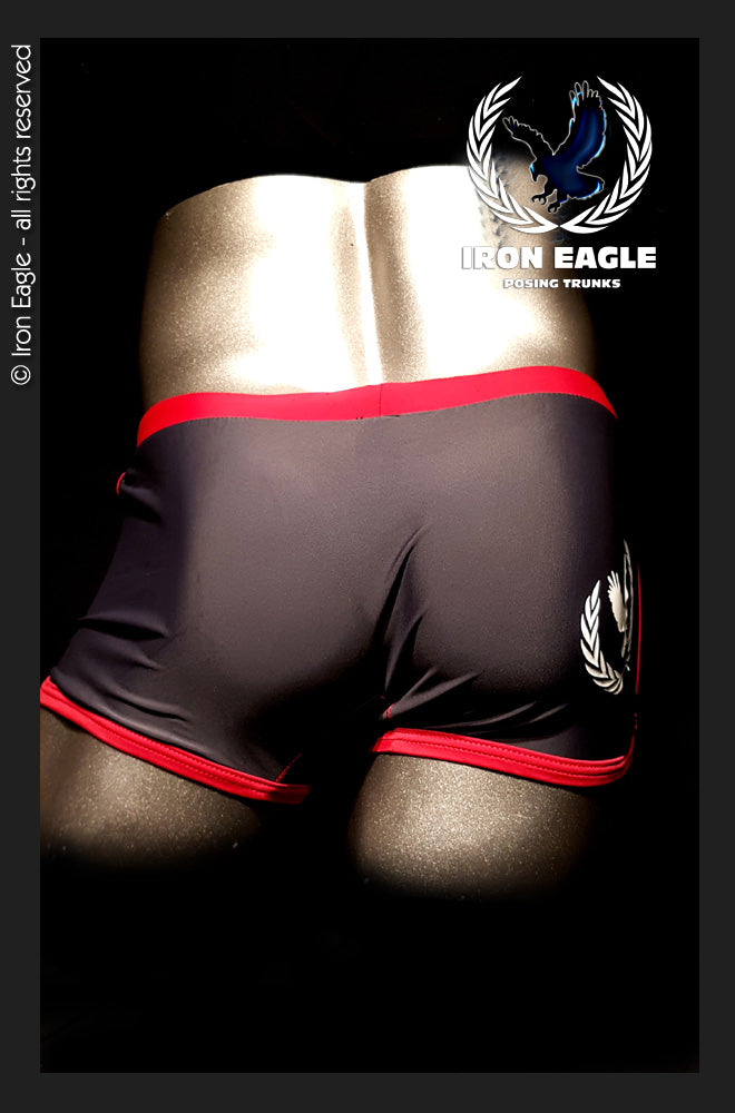 Low Rise Trunks - grey/burgundy