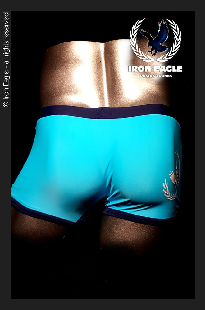 Low Rise Trunks -aqua/navy